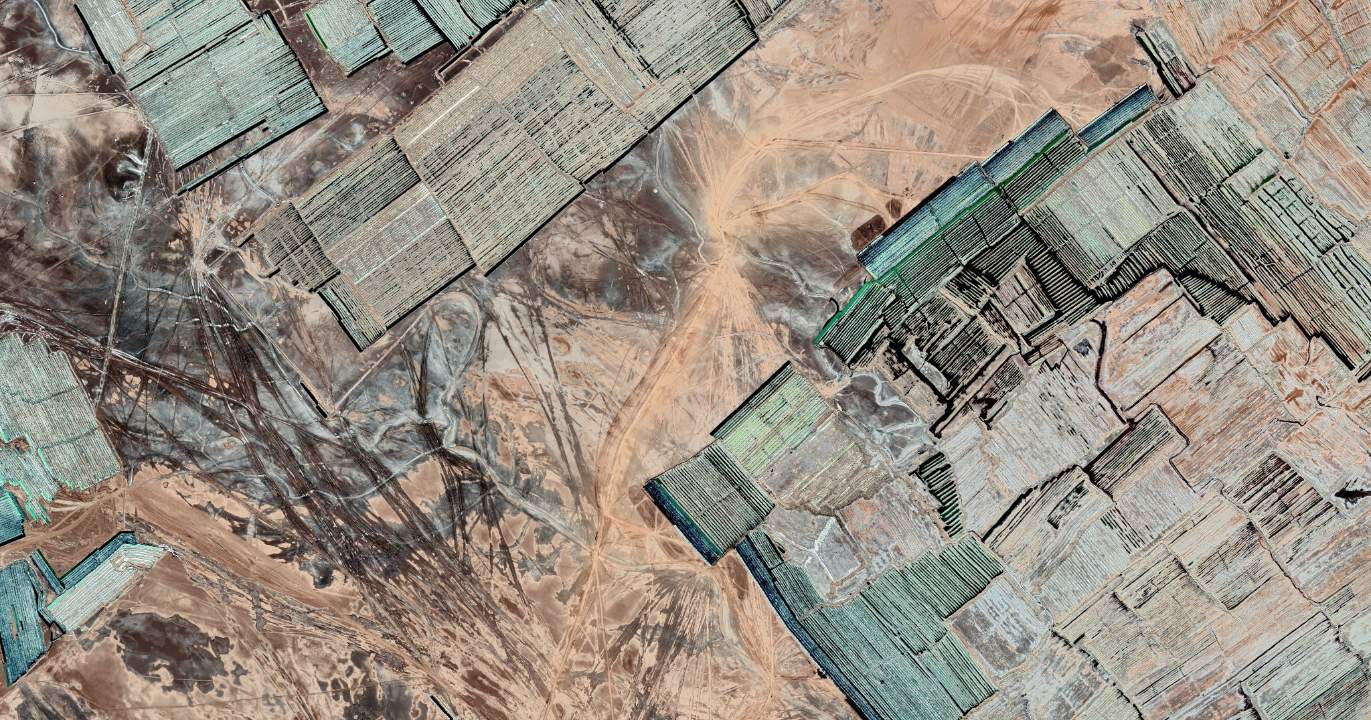 Le dilemme Anthropic : quand l'éthique est punie