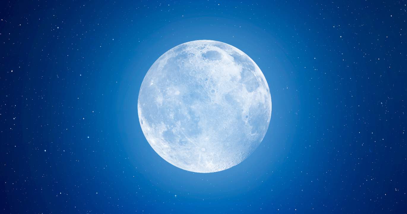 Le devoir de mémoire — et le devoir d'avenir