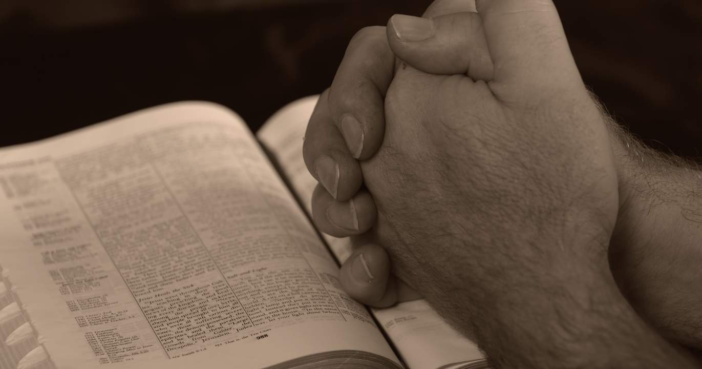 Le sermon du dimanche des Rameaux — un coup de poignard liturgique