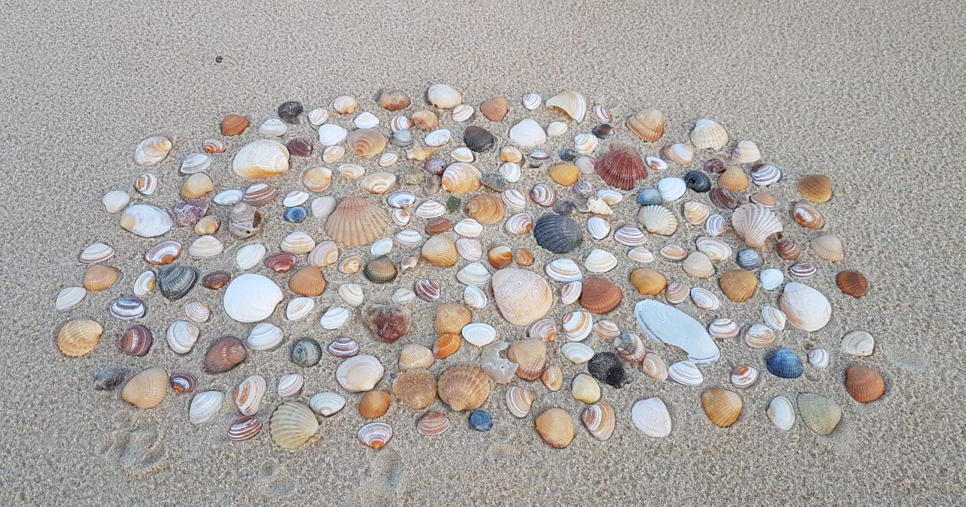 ANALYSE : "86 47" — Quand Trump transforme une photo de plage en inculpation