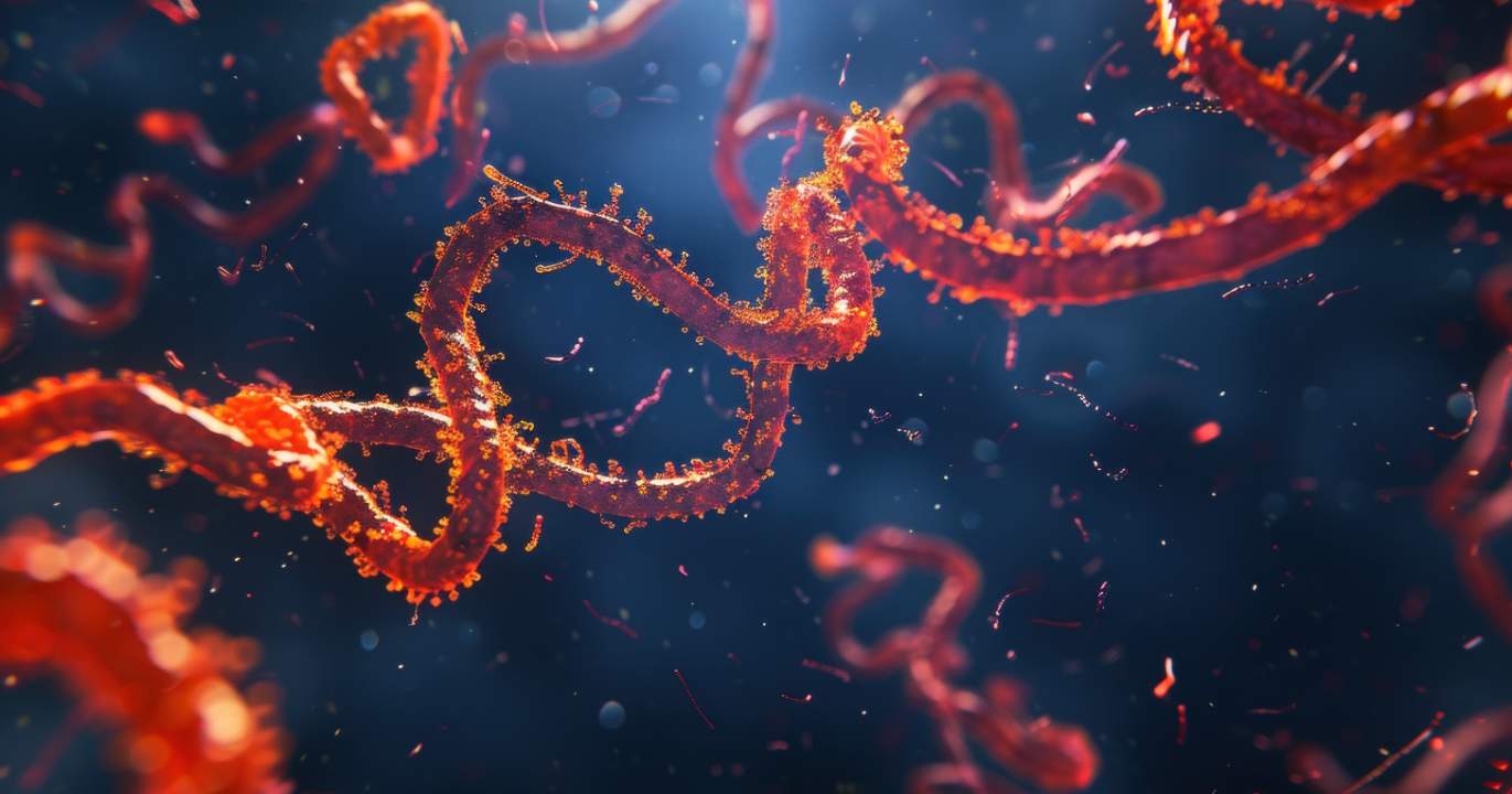 Section 3 : pourquoi Ebola n'atteint pas le statut de pandémie