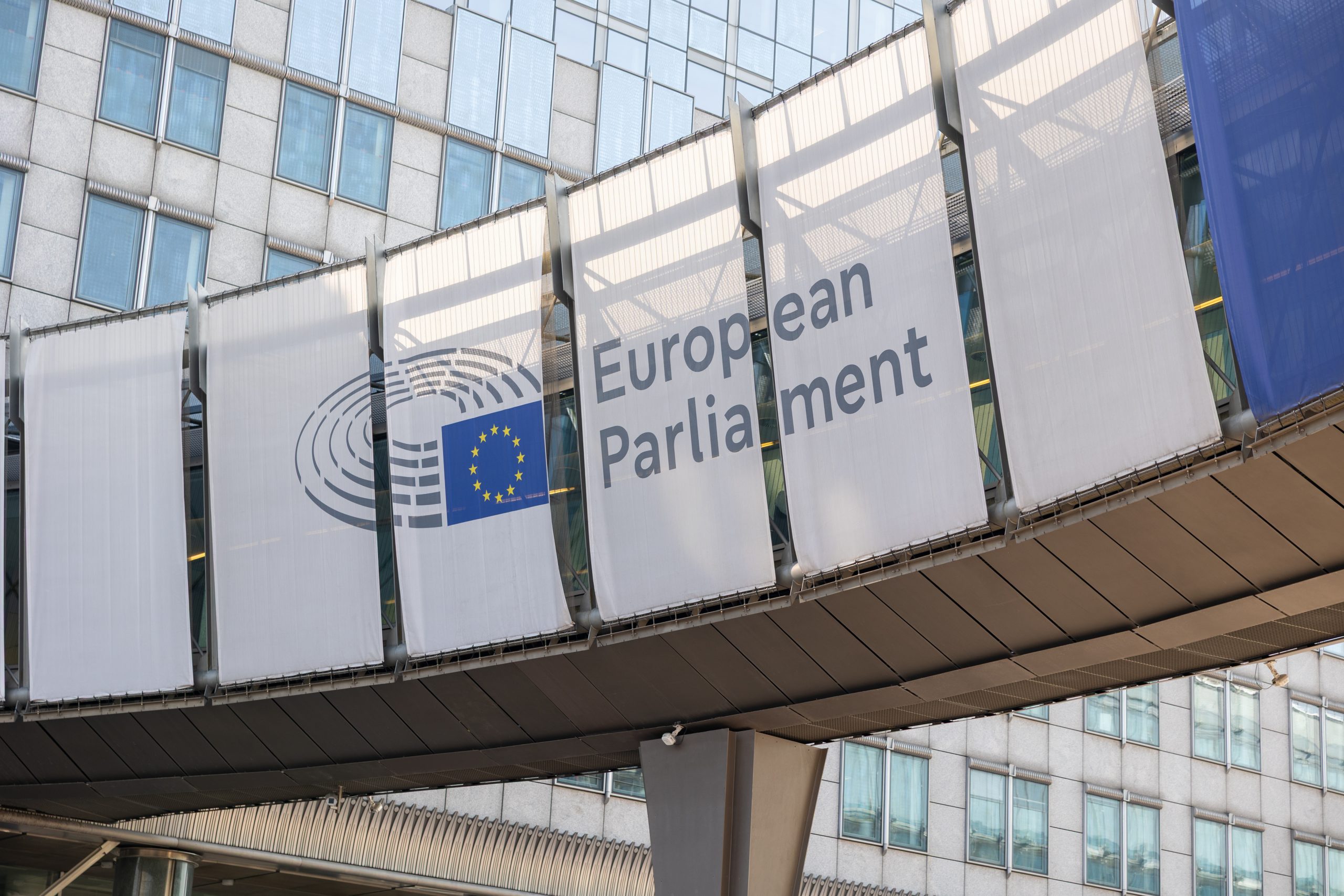 Conclusion : une élection sous surveillance