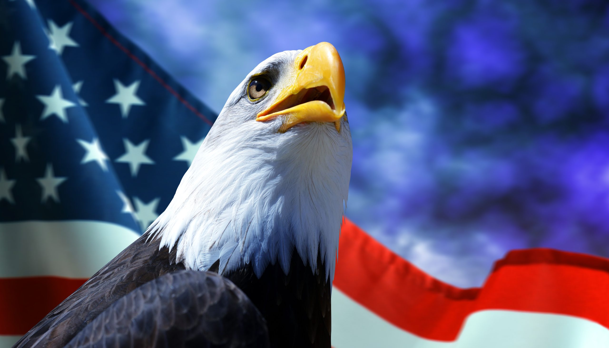 ANALYSE : En Ohio, Nvidia garantit l’IA; Pike County en paie l’attente