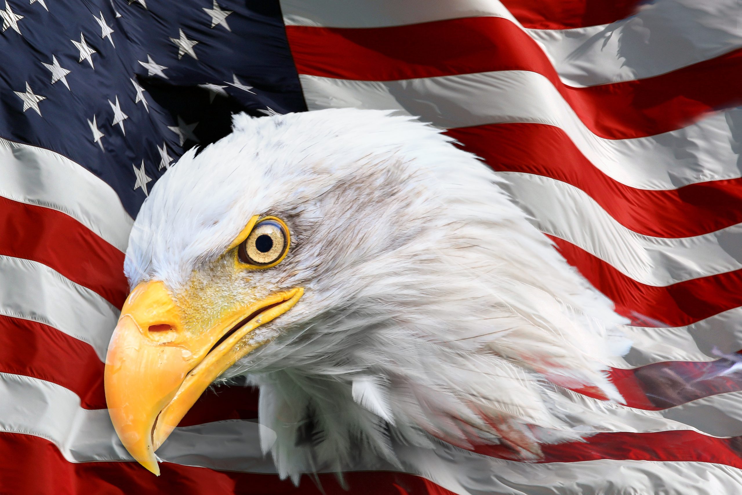 Le Minnesota active un dispositif d'urgence pour l'eau potable